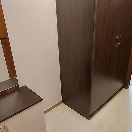 студио ервина