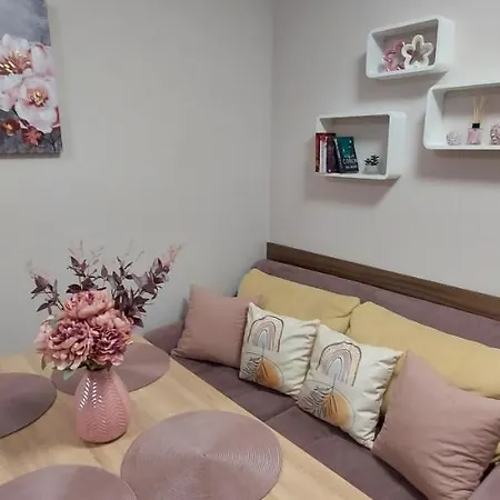 студио ервина رافدا