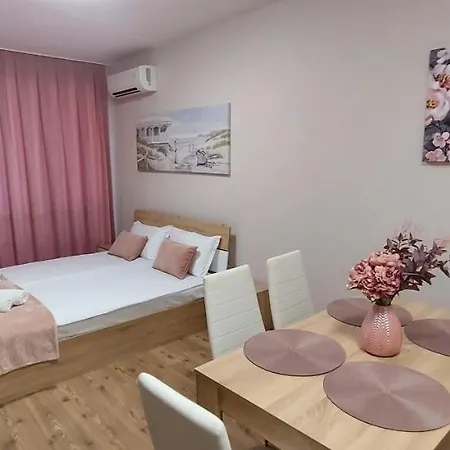 студио ервина رافدا