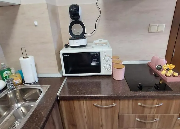 아파트 студио ервина *