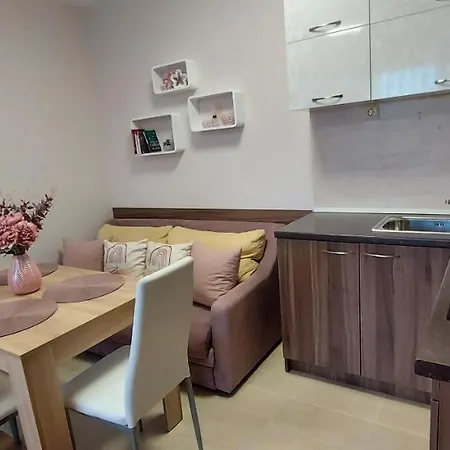 студио ервина Apartment