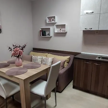 студио ервина Apartment *