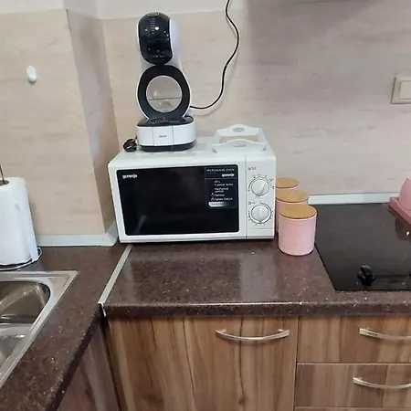 Apartment студио ервина *