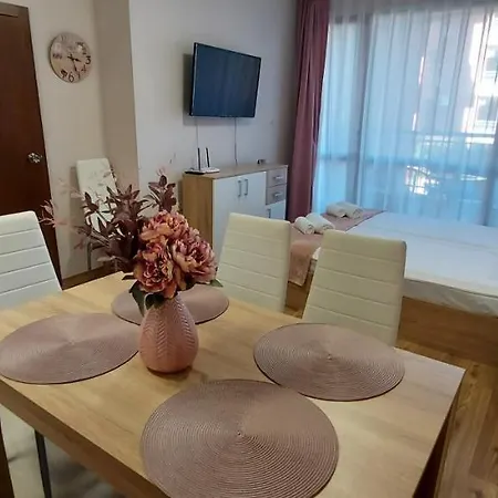 студио ервина דירה רבדה