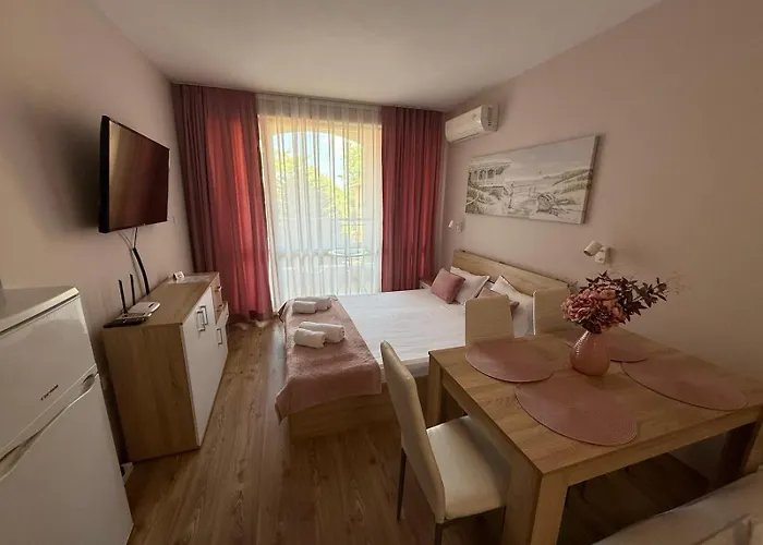 студио ервина *